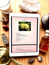 Image 2 of Ebook Plantas silvestres & comestibles 