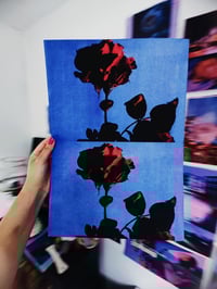 Image 3 of PICK ROSES AT NIGHT I