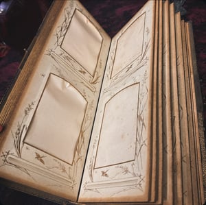 Image of Victorian Cabinet Card Photo Album