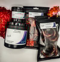 Image 3 of Elemental Bundle Box Set