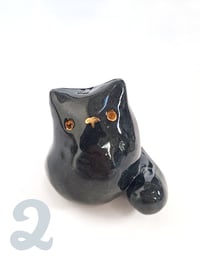 Image 3 of Just a Kitty