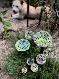 Image 6 of 🌺💐🌷Lotus Pod Garden Stake