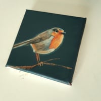 Image 2 of Robin