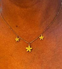 Image 2 of Collar mini jazmines 