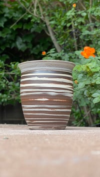 Image 2 of Mixed Cup 11