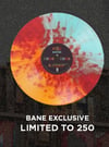 BANE Boston 6:58 Limited BAND VARIANT 
