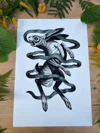 Image 1 of Rabbit 