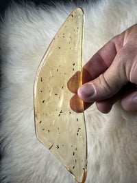 Image 19 of Copal Amber With Preserved Insects #2357