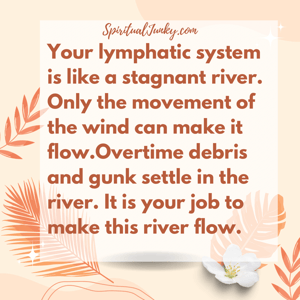 Image of Lymphatic Drainage Herbal Extract