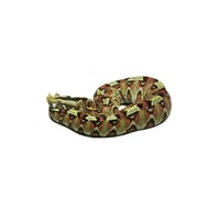 Rhino Viper
