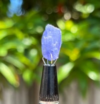 Image 6 of Tanzanite Specimen #2431