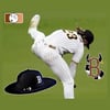360 Boston Brim