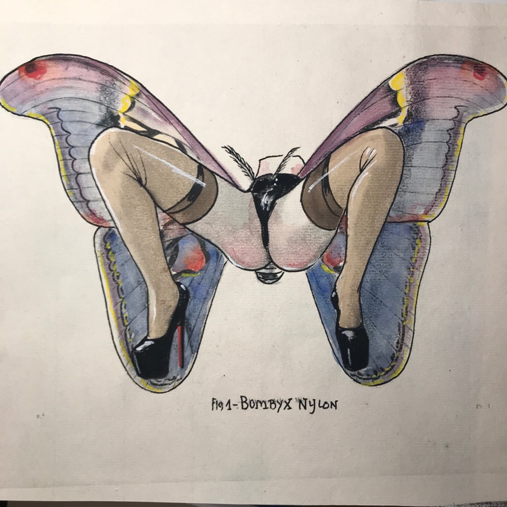 Image of My Bombyx nylon butterfly