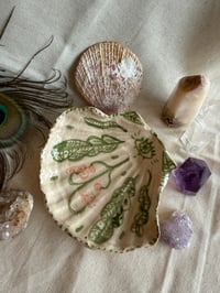 Image 4 of Coquillage en céramique_Nature🌟