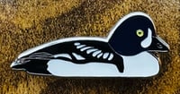 Image 2 of Barrow's Goldeneye - No.139 - UK Birding Pins