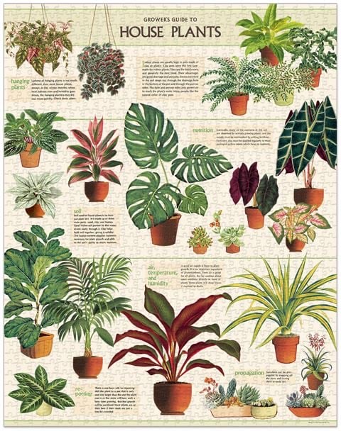 Cavallini & co- House Plants 1000 piece Vintage Puzzle Image 2