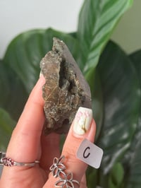 Image 5 of SMALL HALF POLISHED HIMALAYAN RUTILE IN QUARTZ CLUSTERS