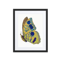 Image 3 of Framed poster of Butterfly