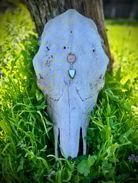 Image 1 of Palomino Buffalo Nickel Necklace