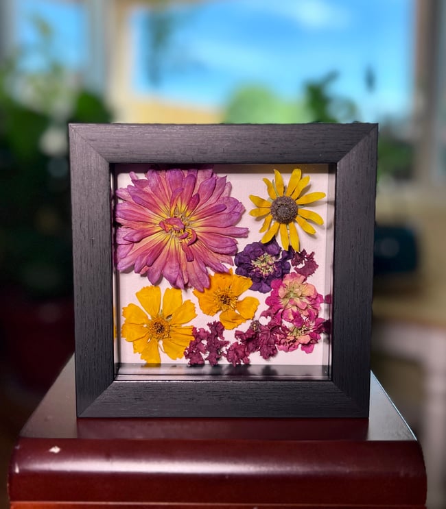 Dahlia, Rudbeckia, Stock Flower, Crape Myrtle & Coreopsis - In 6" X 6" Shadow Box (Item# 202308S)