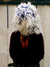 Image 1 of Shamb Hood 