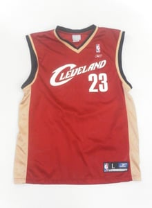 Image of Vintage Cleveland Cavaliers Lebron James Basketball Jersey