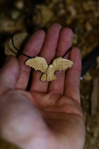 Image 1 of Hunting Barn owl 