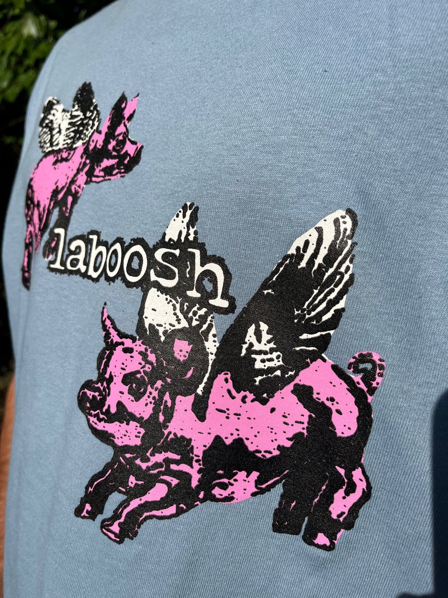 Image of Blue Flying Pigs Tee