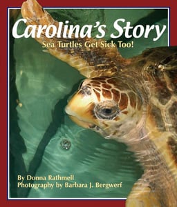 Image of Carolina&#x27;s Story Sea Turtles Get Sick Too!