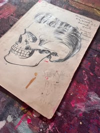 Image 2 of Teddy Skull Study#1