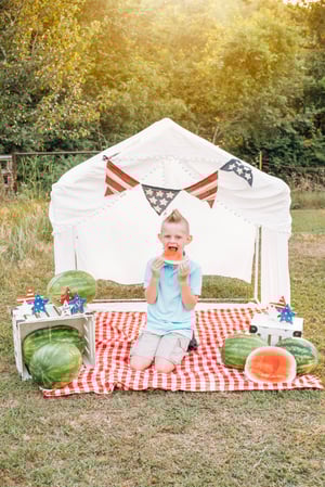 Image of watermelon 🍉 mini’s 