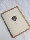 Pansy Flower Card