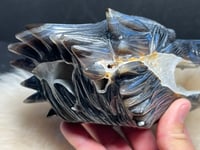 Image 16 of Wolf Agate Carving #2266
