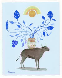 Image 1 of “Sturdy enough to bare your beauty”