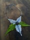 Image of Kinetic Autumn Fern Beach Stone Statement Necklace