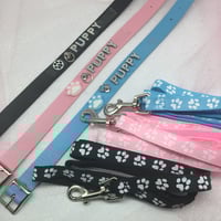 Image 1 of Collar With 🐾 Leash 