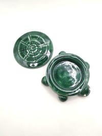 Image 2 of PREORDER Sand Turtle