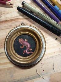 Image 2 of Toupti lezard