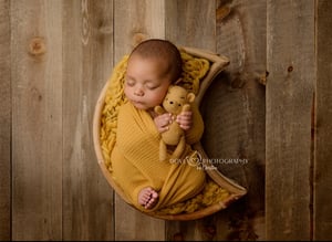 Image of Vintage Hunny bear 