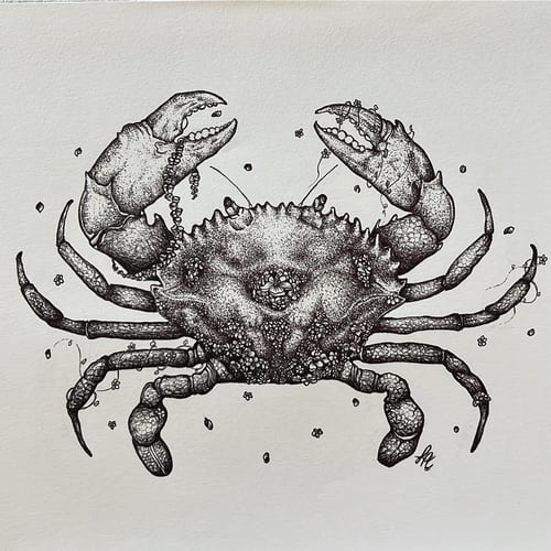 Image of Floral Mud Crab 