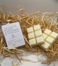 Black raspberry & vanilla clamshell wax melts 