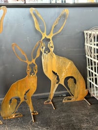 Image 5 of Harolds Hare