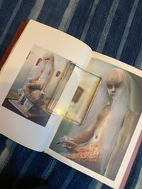 Image 6 of The Blessed Angels: Suzuyo Suzuki works 1986-1999, 2000.