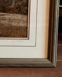 Image 5 of “Lichen and Pine”, S/N Photography Print
