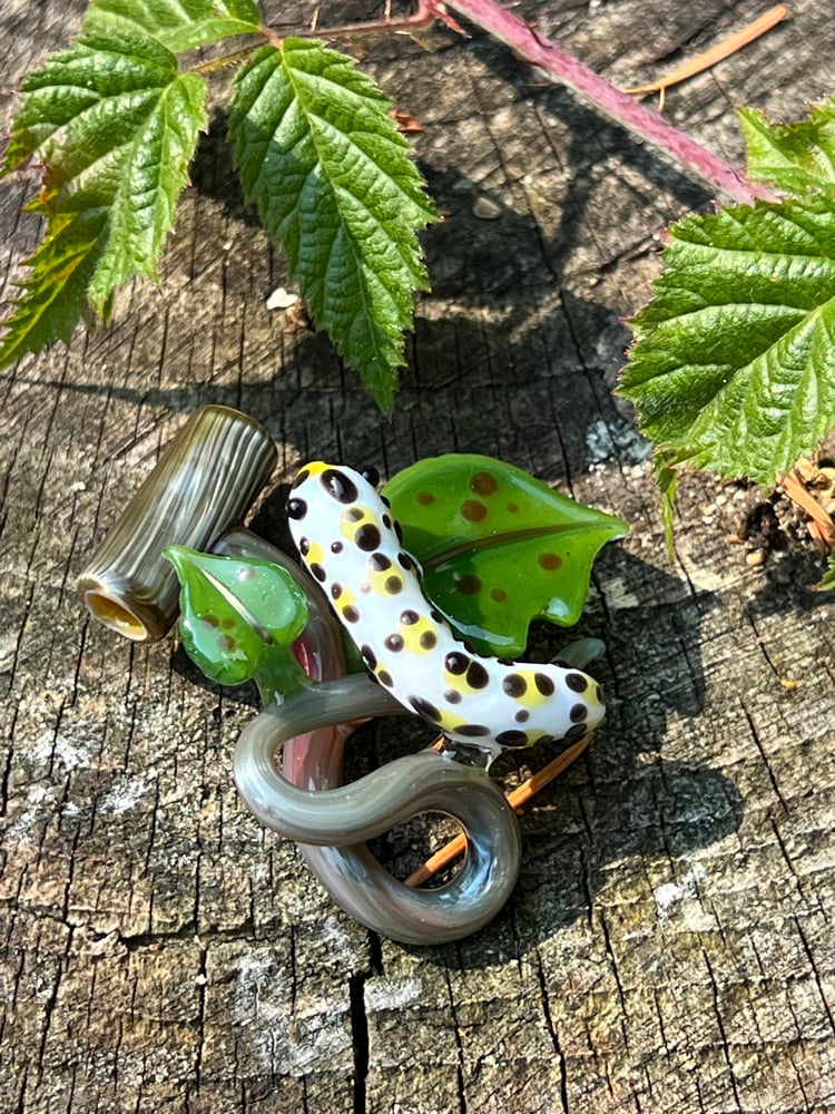 Image of Caterpillar Lunch Colab with Shelley Sunshine!