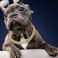 Image 2 of Chain Dog Cuban 