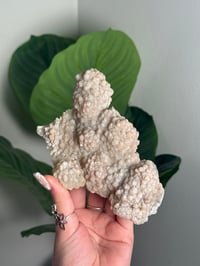 Image 1 of SELF STANDING SPARKLY APOPHYLITE STALACTITES -INDIA- F