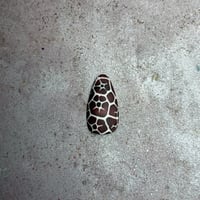 CELLULAR STENCIL