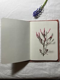 Image 4 of Note book III