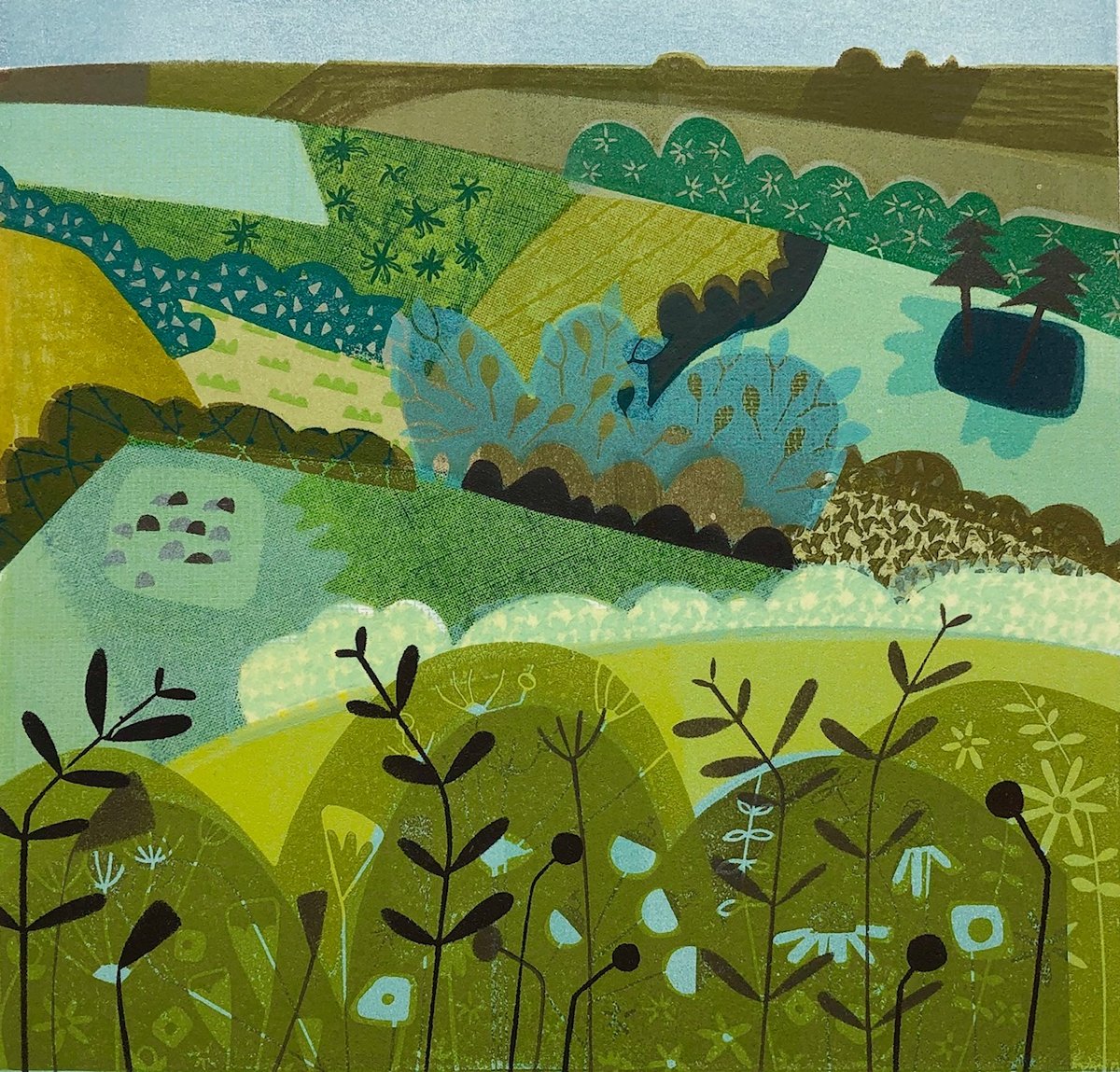 Image of Cornwall Fields